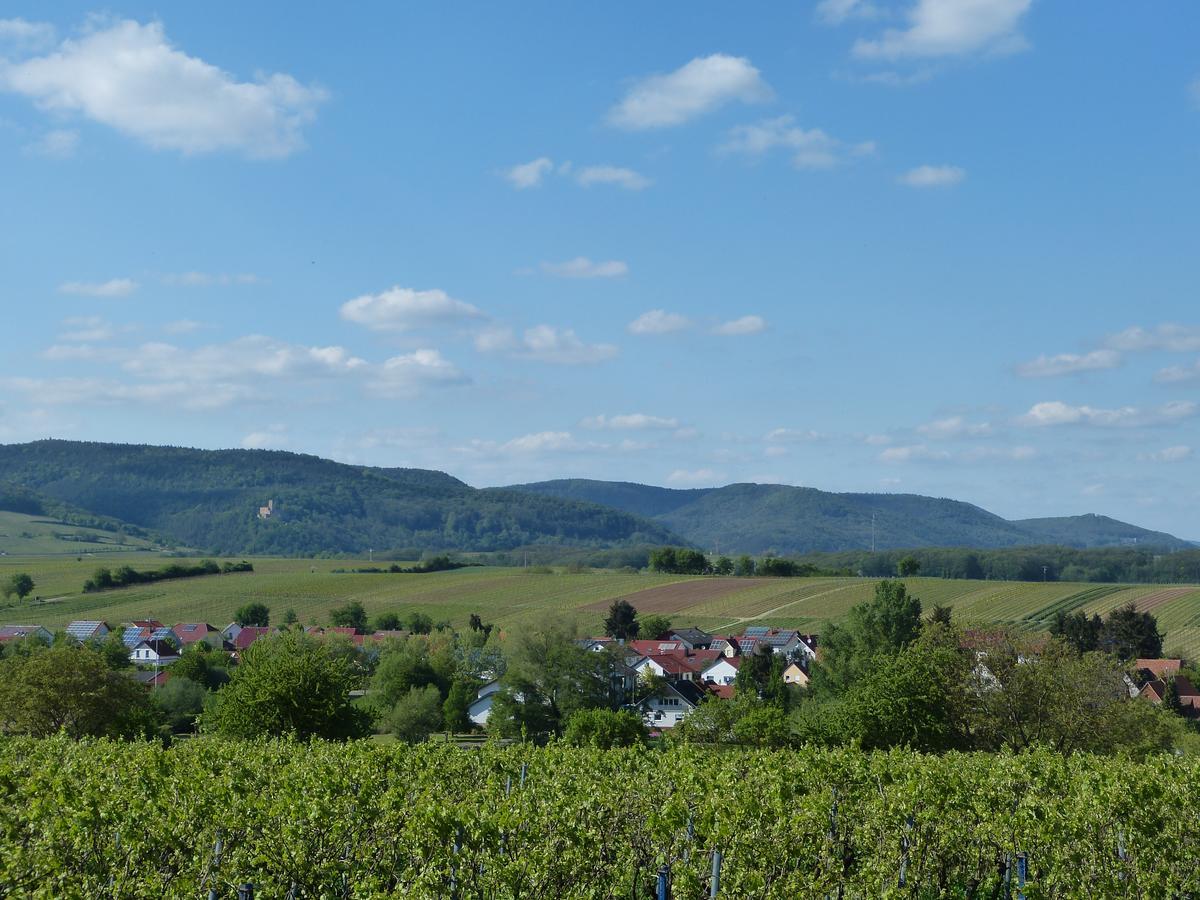Gaestehaus Annel Niederhorbach المظهر الخارجي الصورة