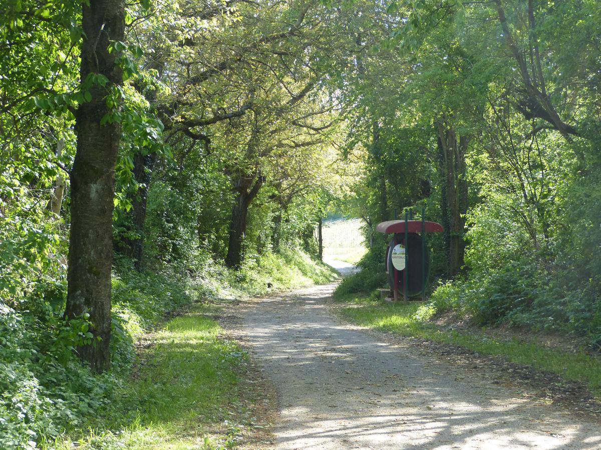 Gaestehaus Annel Niederhorbach المظهر الخارجي الصورة